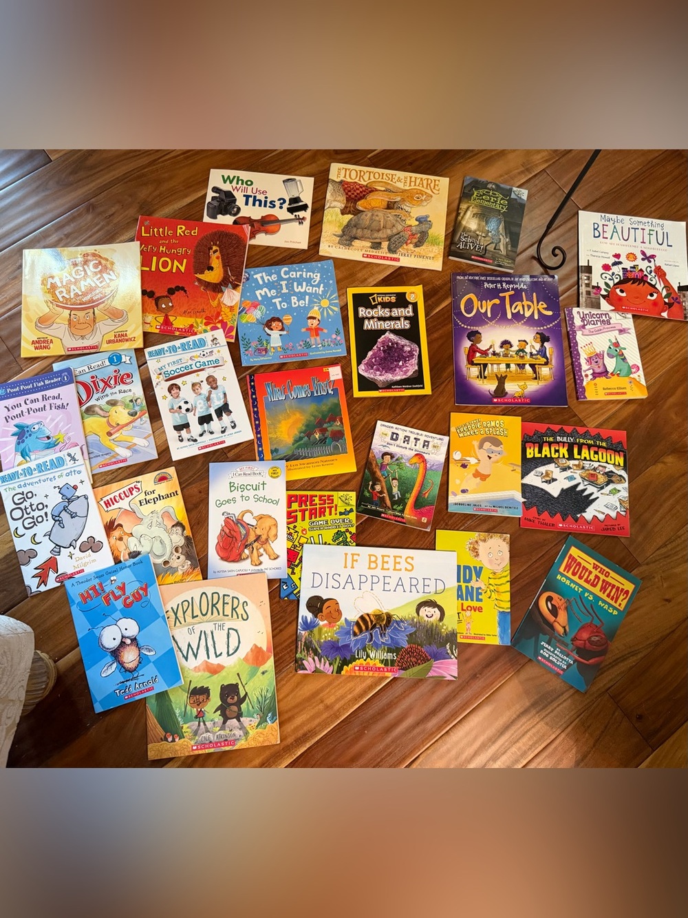 Scholastic books bundle lot. Includes all 26